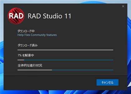Image result for Delphi Installation