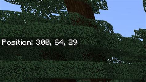 Image result for How to TP in Minecraft Java Edition