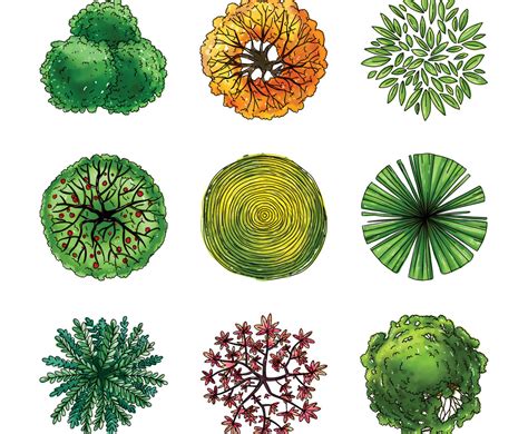 Bildergebnis für Tree Colored Plan View