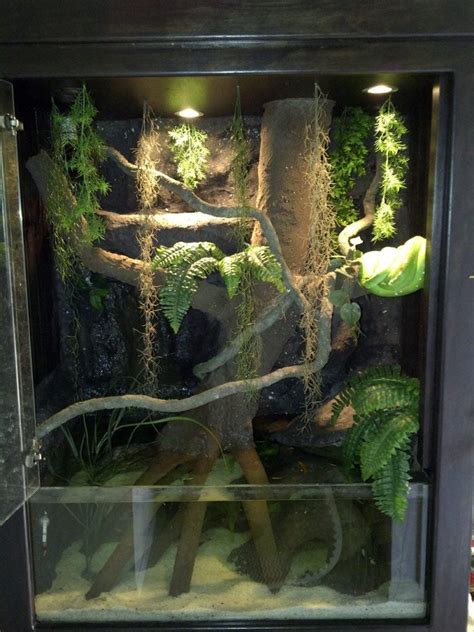 Image result for Green Tree Python Tank Setup
