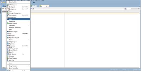 Image result for SQL Developer Advanced Menu