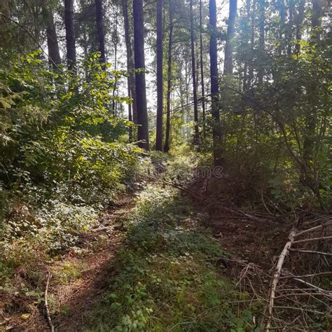 Toradh íomhá ar Germany Nature-Lovers