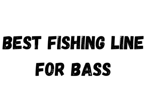 Image result for Best Bass Fishing Line