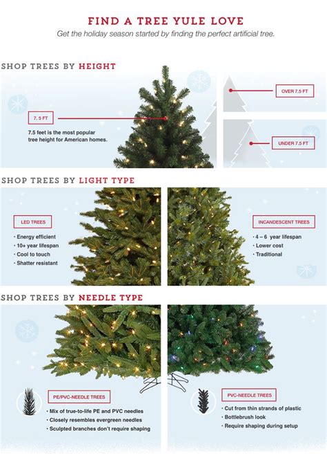 Image result for Christmas Tree Types Chart