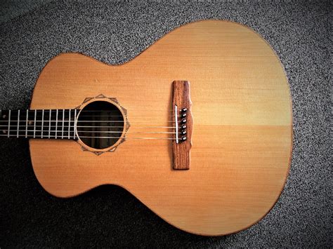 Image result for Double String Steel Guitar