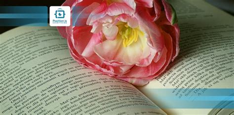 Toradh íomhá ar Indent HTML