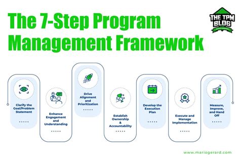 Image result for Program Management Framework Diagrams