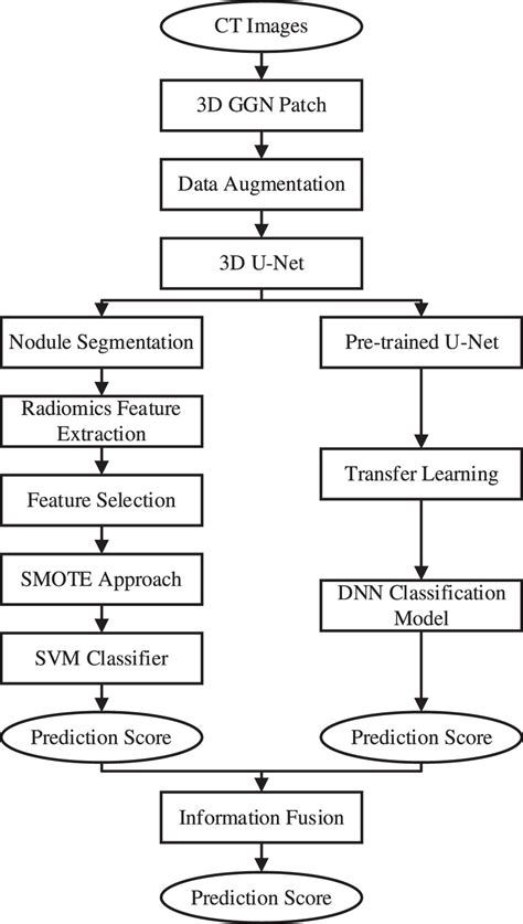 Image result for Flowchart Classification Type Chart