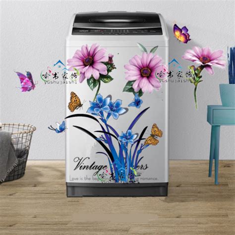 Afbeeldingsresultaten voor Daisy Washing Machine