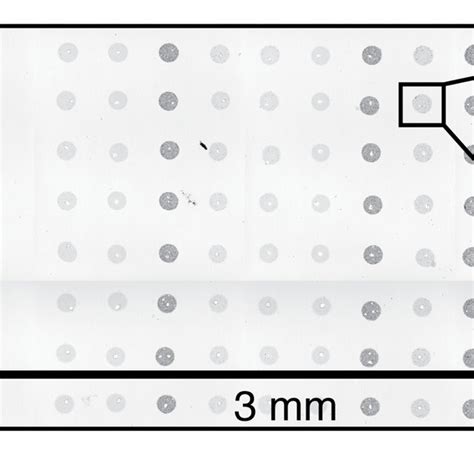 Microprism Array Imaging に対する画像結果