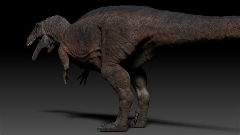 Image result for Parrot Cartoon