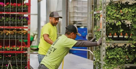 Image result for H2A Labor Program