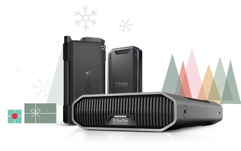 Image result for SanDisk Professional