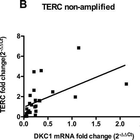 Terc Gene Coding Region-साठीचा प्रतिमा निकाल