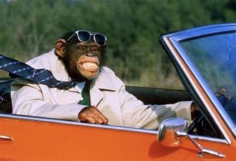 Image result for Monkey in Garage Meme Song