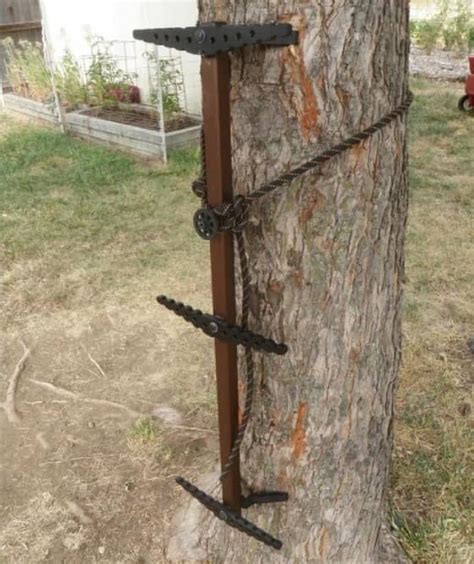 Afbeeldingsresultaten voor Best Climbing Sticks