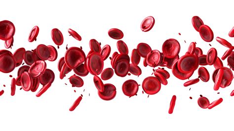 Afbeeldingsresultaten voor Blood Transpernt