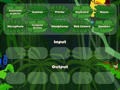Toradh íomhá ar Input Process Output KS3