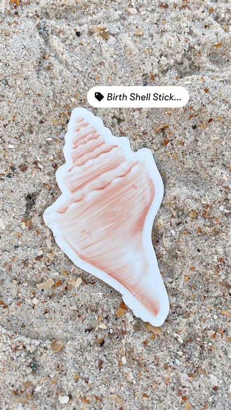 Afbeeldingsresultaten voor Conch Shell Stickers