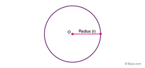 Image result for Radius Buis