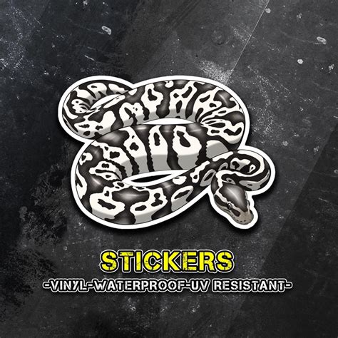 Image result for Python Decal