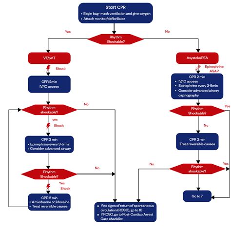 Afbeeldingsresultaten voor Pediatric ALS Algorithm