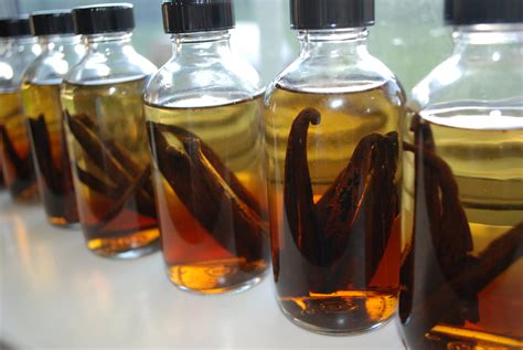 Image result for How to Make Venilla