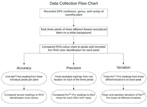 Image result for Flowchart Algorithm Camelia
