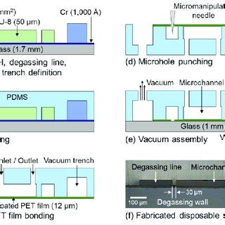 Toradh íomhá ar Two-Phase Flow Microchannel