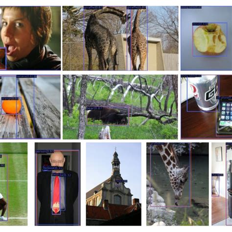 Coco Bounding Box Format に対する画像結果