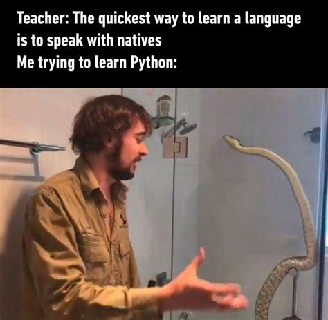 Image result for Meme API Python