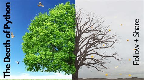 Death Python に対する画像結果