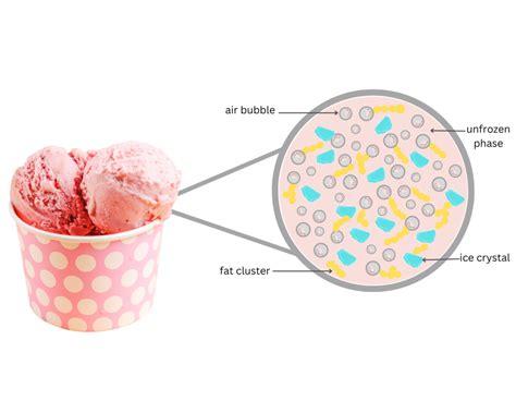 نتيجة الصورة لـ Ice Cream Internal Text Structure Quick Check