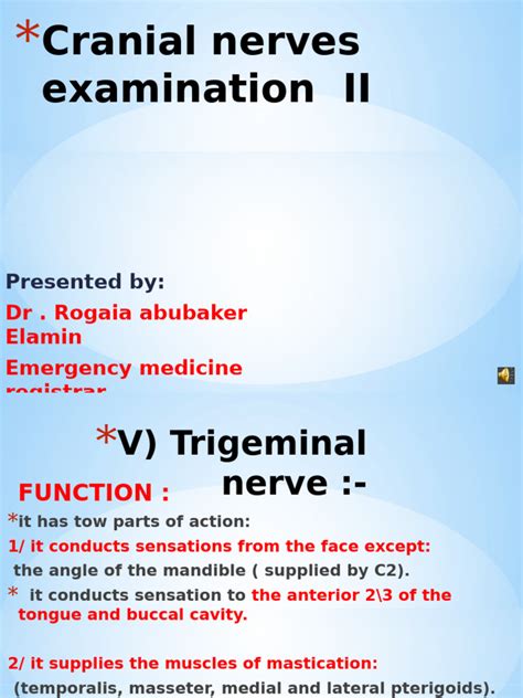 Cranial Nerves II に対する画像結果
