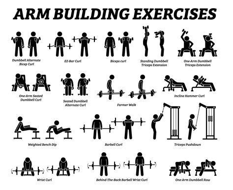Image result for Bicep Workout Chart