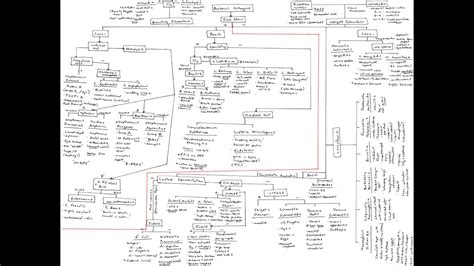 Image result for Gram-positive Algorithm
