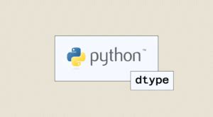 Image result for D-Type in Python