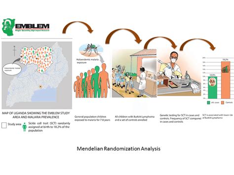 Image result for Simple Randomization Diagram