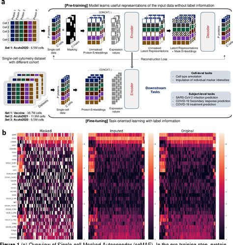 Masked Autoencoder に対する画像結果