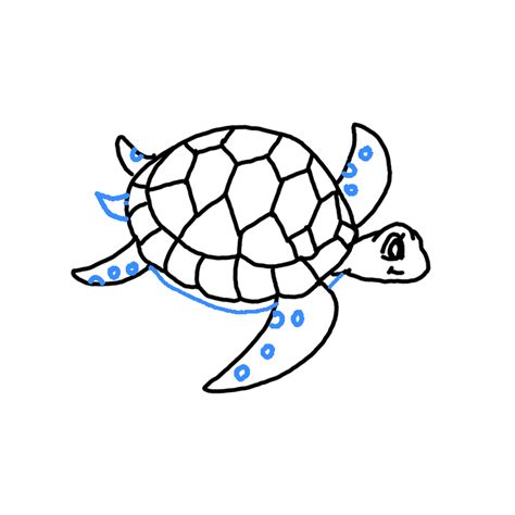 Toradh íomhá ar Turtle Drawing Top View