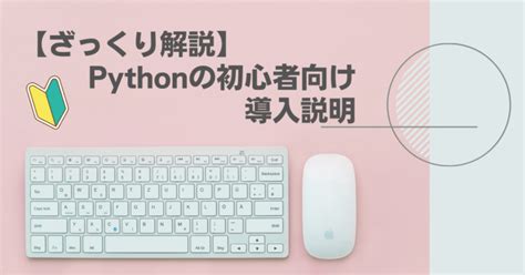 Python Code Basics に対する画像結果