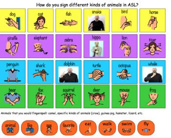 ASL (American Sign Language) Animals Vocabulary Sheet by SalyardsClass