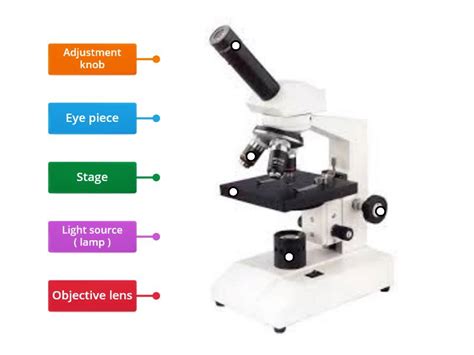 Image result for Defect Marking Under Microscope