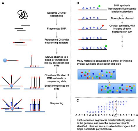 Sequencing Workflow-এর ছবি ফলাফল