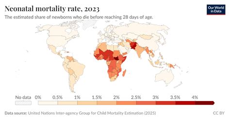 Neonatal Mortality Rate Formula に対する画像結果