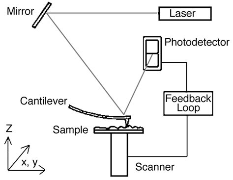 Image result for Atomic Force Microscope Operation Mode