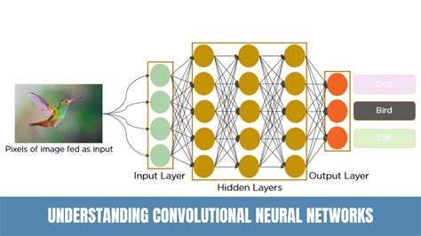 Image result for Convolution Neural Network HD Image