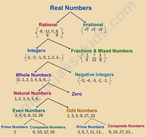 Image result for Classification of Numbers Chart