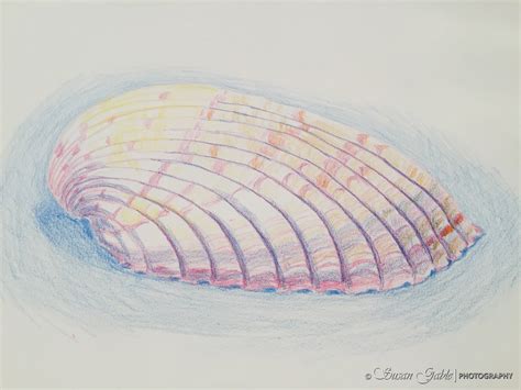 Color Pencil Drawing Shell に対する画像結果