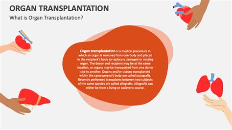 Transplantation Types に対する画像結果